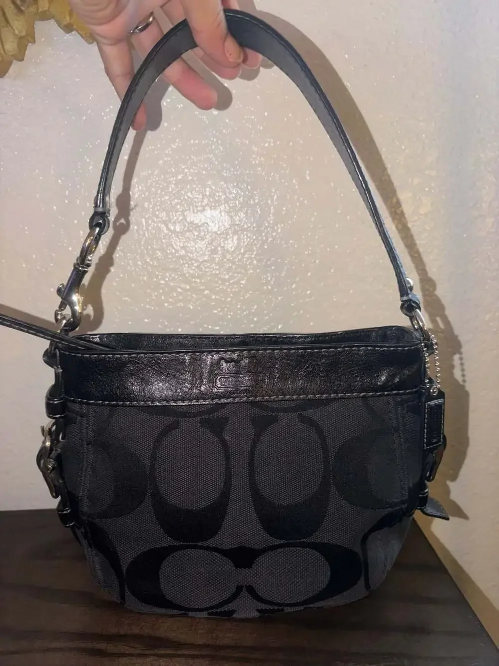 Coach Signature Canvas Zoe Mini Bag